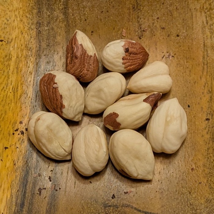 Truxton hazelnut kernels after blanching