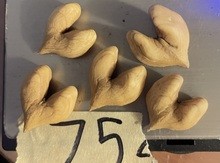 Grimo 75 Rose heartnut kernels